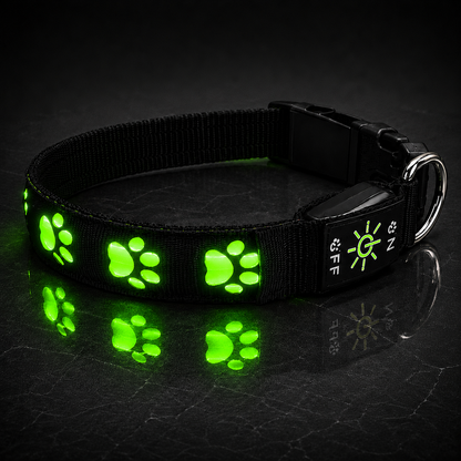 NightGlow LED Collar