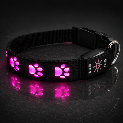 NightGlow LED Collar