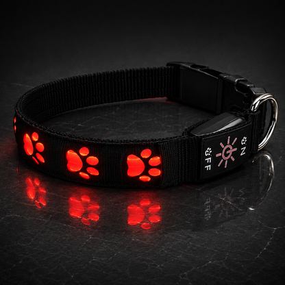 NightGlow LED Collar