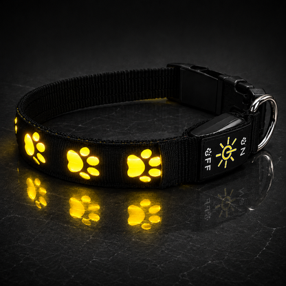 NightGlow LED Collar