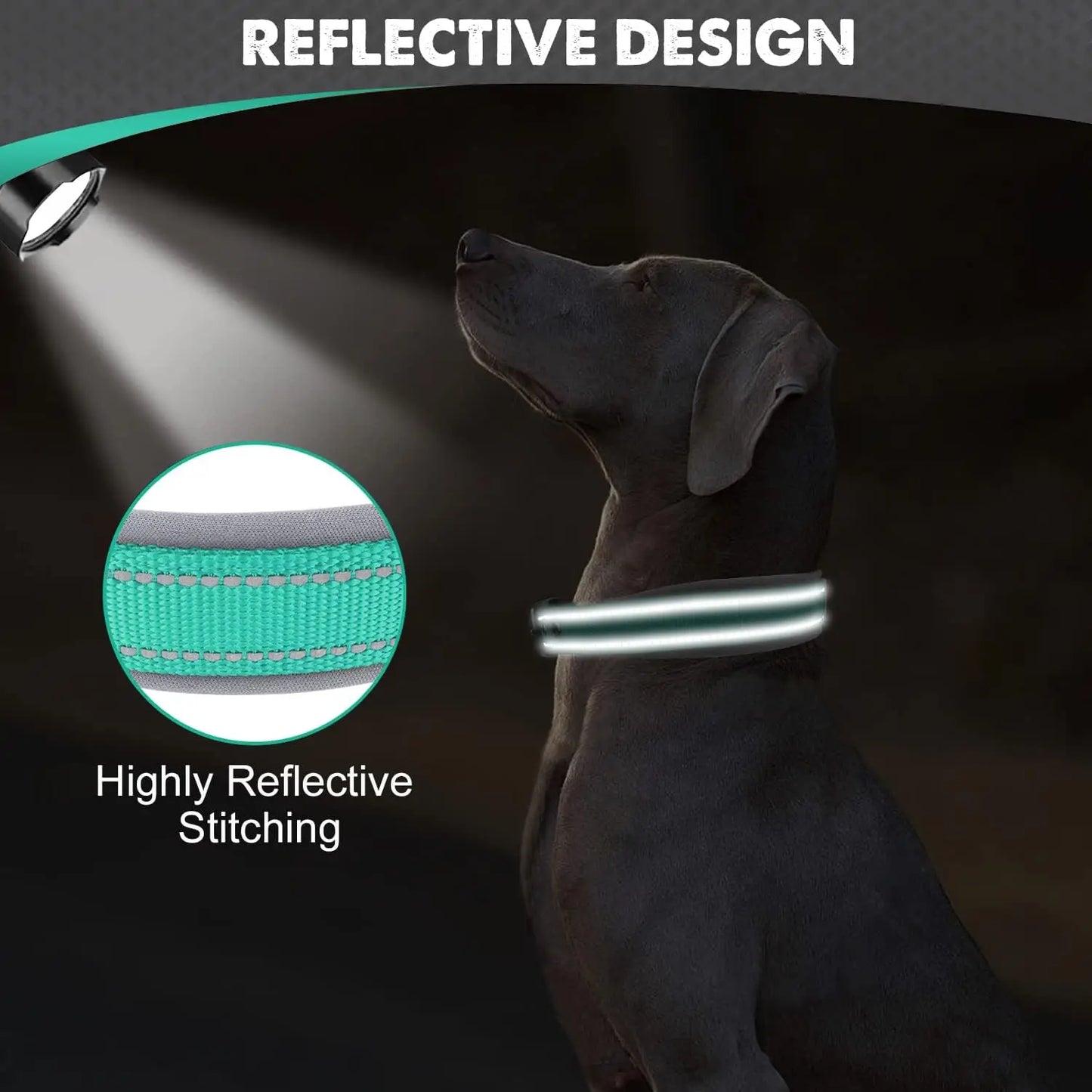 GlowStride Reflective Collar
