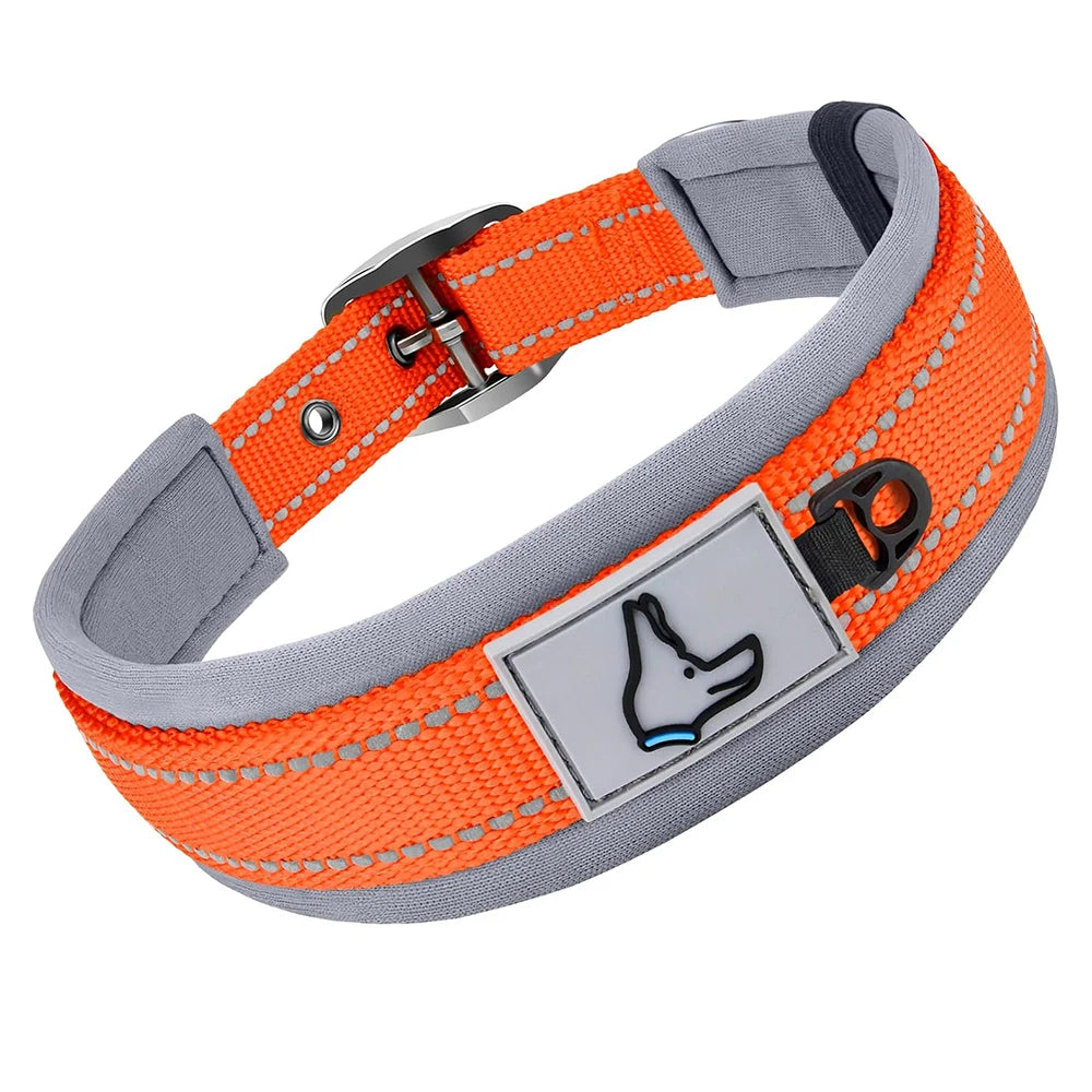 GlowStride Reflective Collar