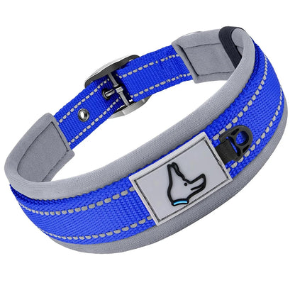 GlowStride Reflective Collar