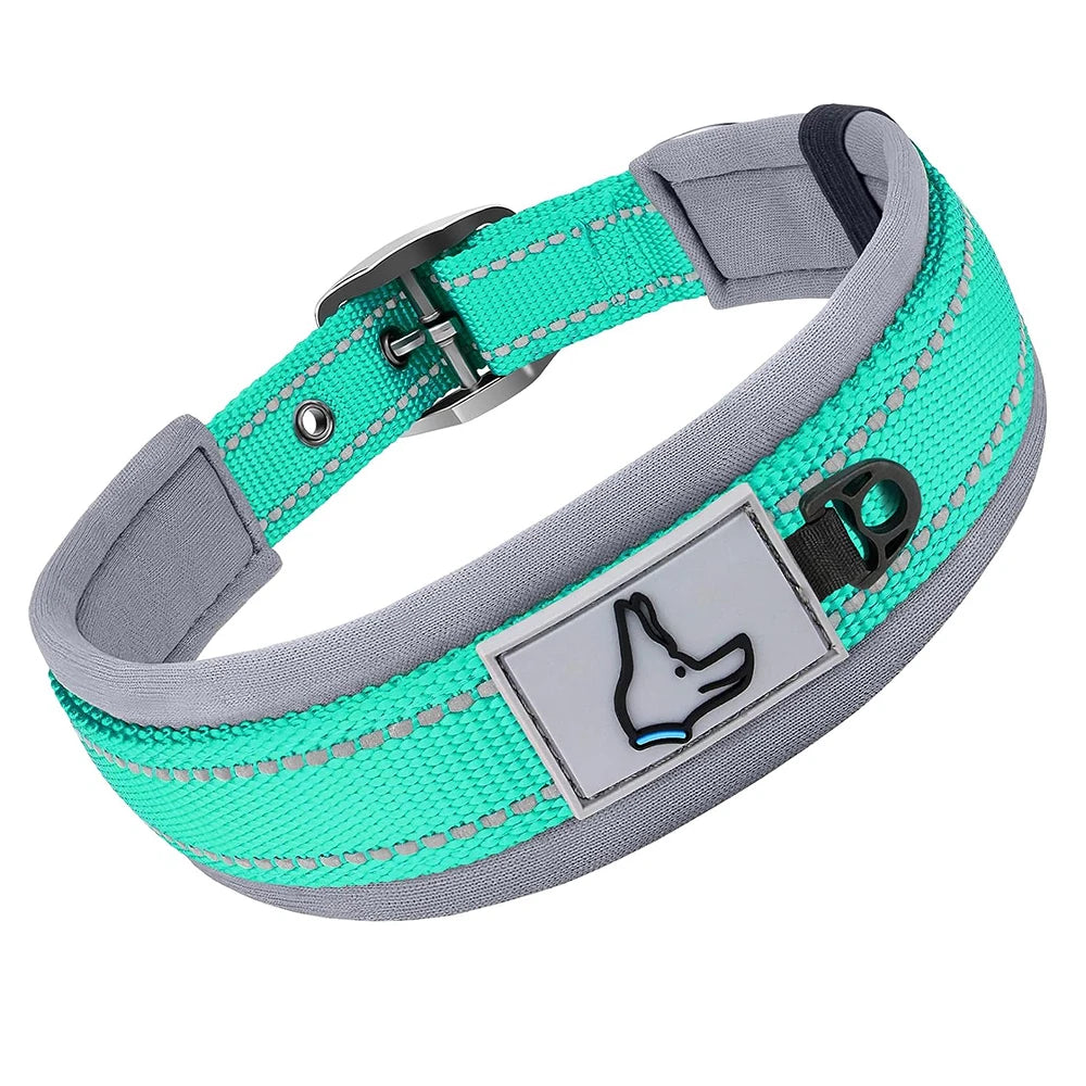 GlowStride Reflective Collar