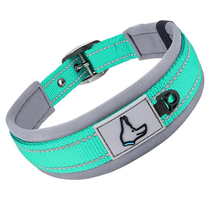 GlowStride Reflective Collar