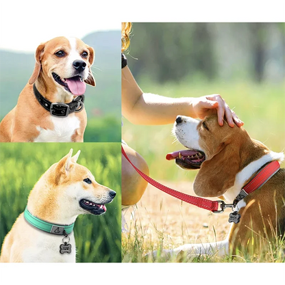 GlowStride Reflective Collar