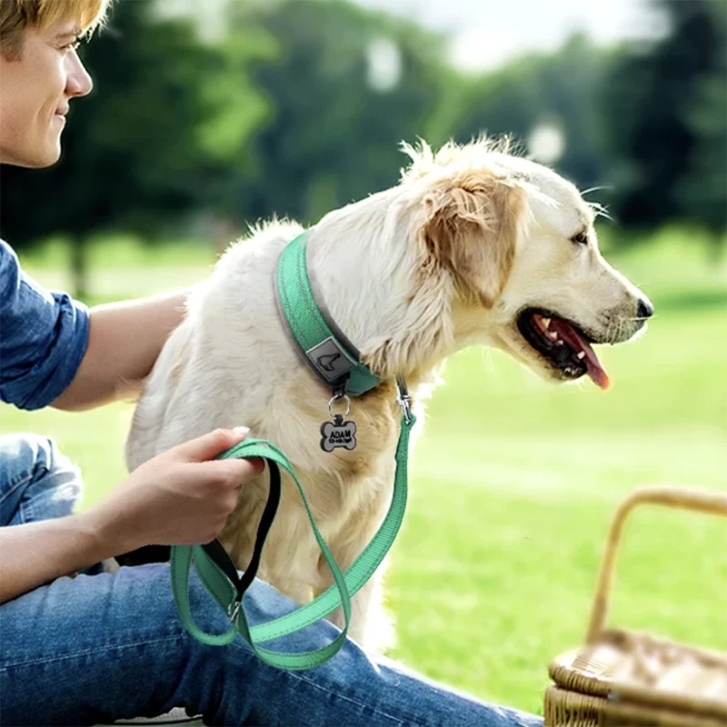 GlowStride Reflective Collar