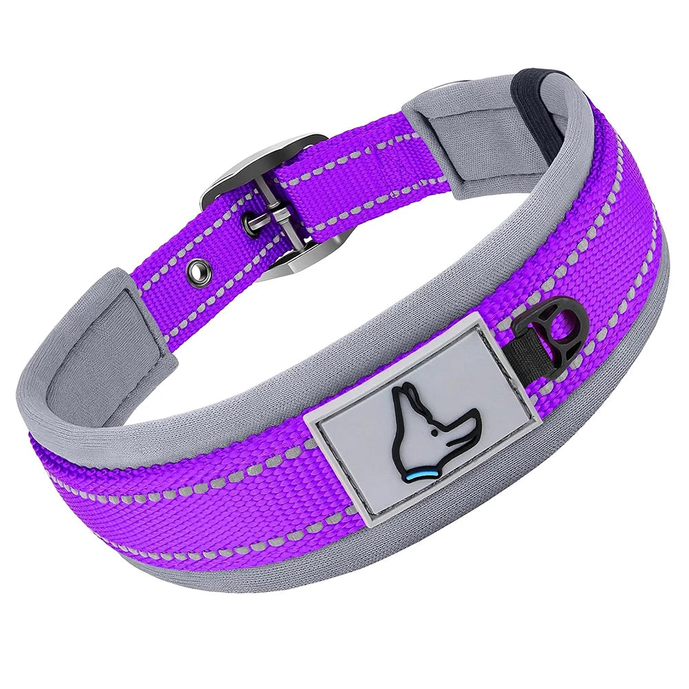 GlowStride Reflective Collar