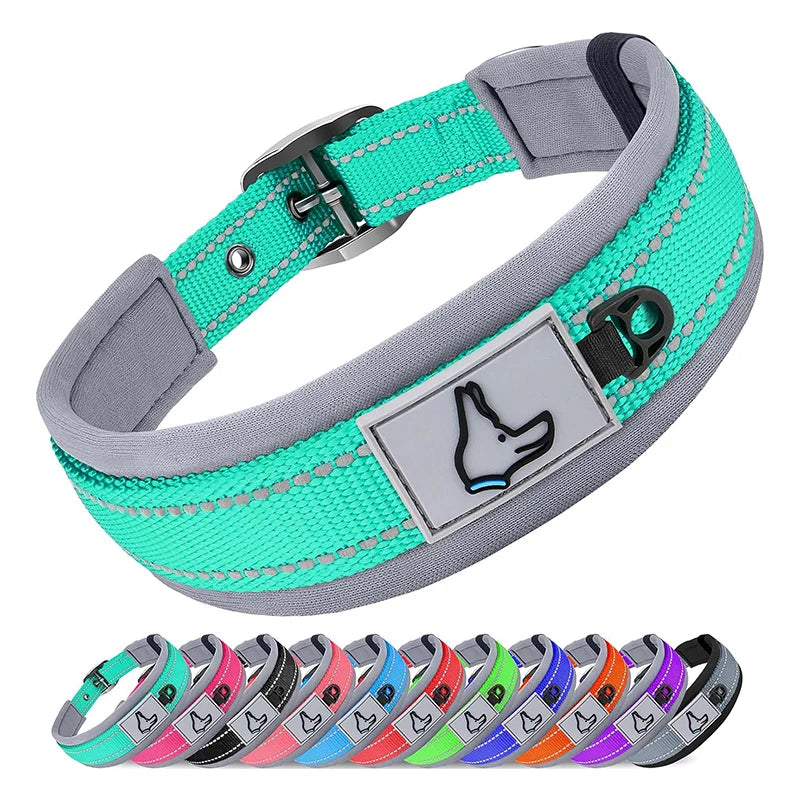 GlowStride Reflective Collar