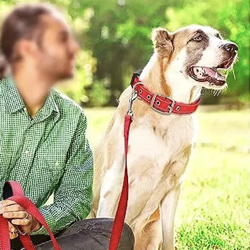 GlowStride Reflective Collar