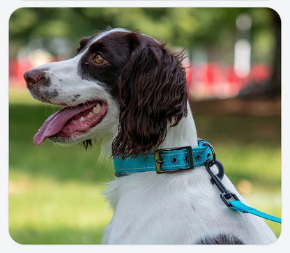 GlowStride Reflective Collar