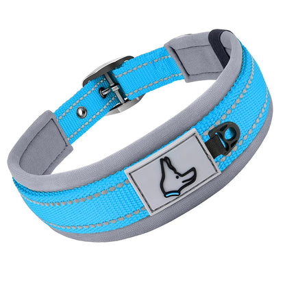 GlowStride Reflective Collar
