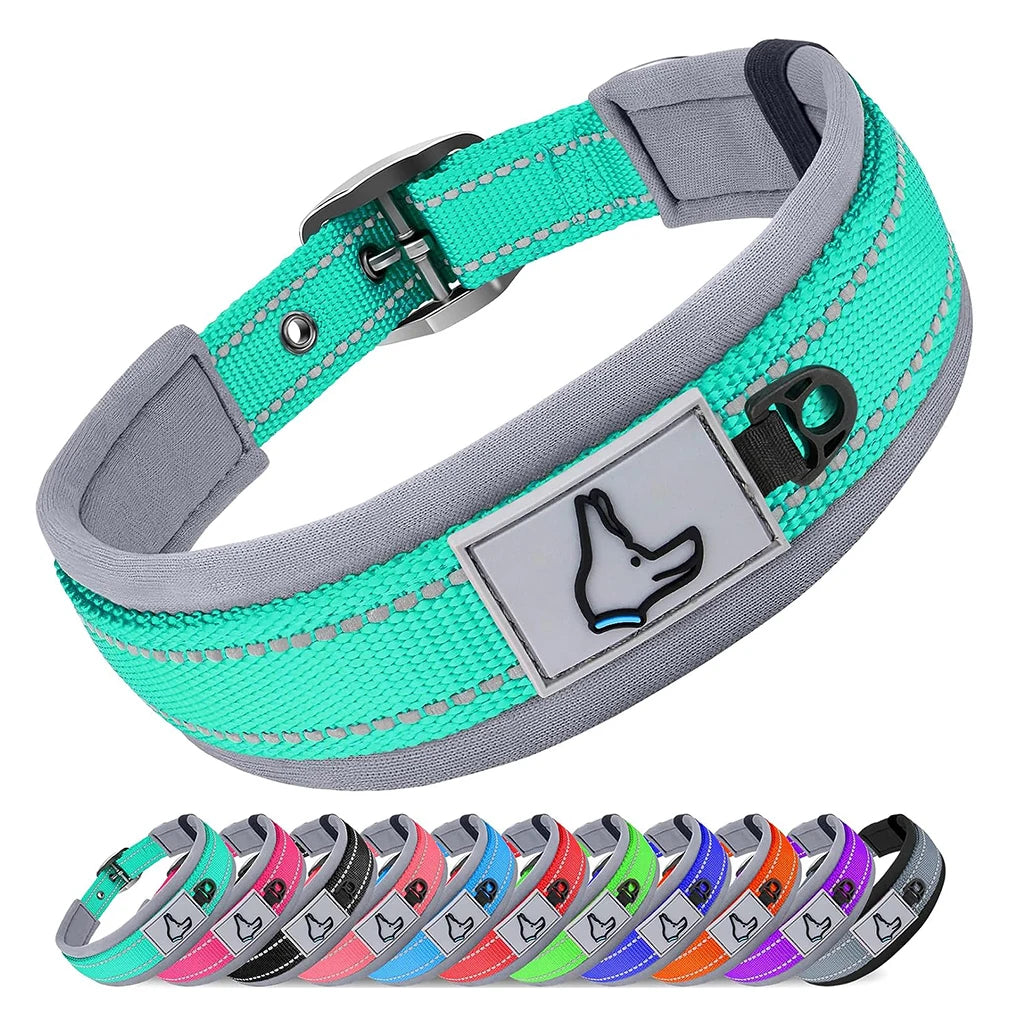 GlowStride Reflective Collar