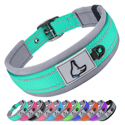 GlowStride Reflective Collar