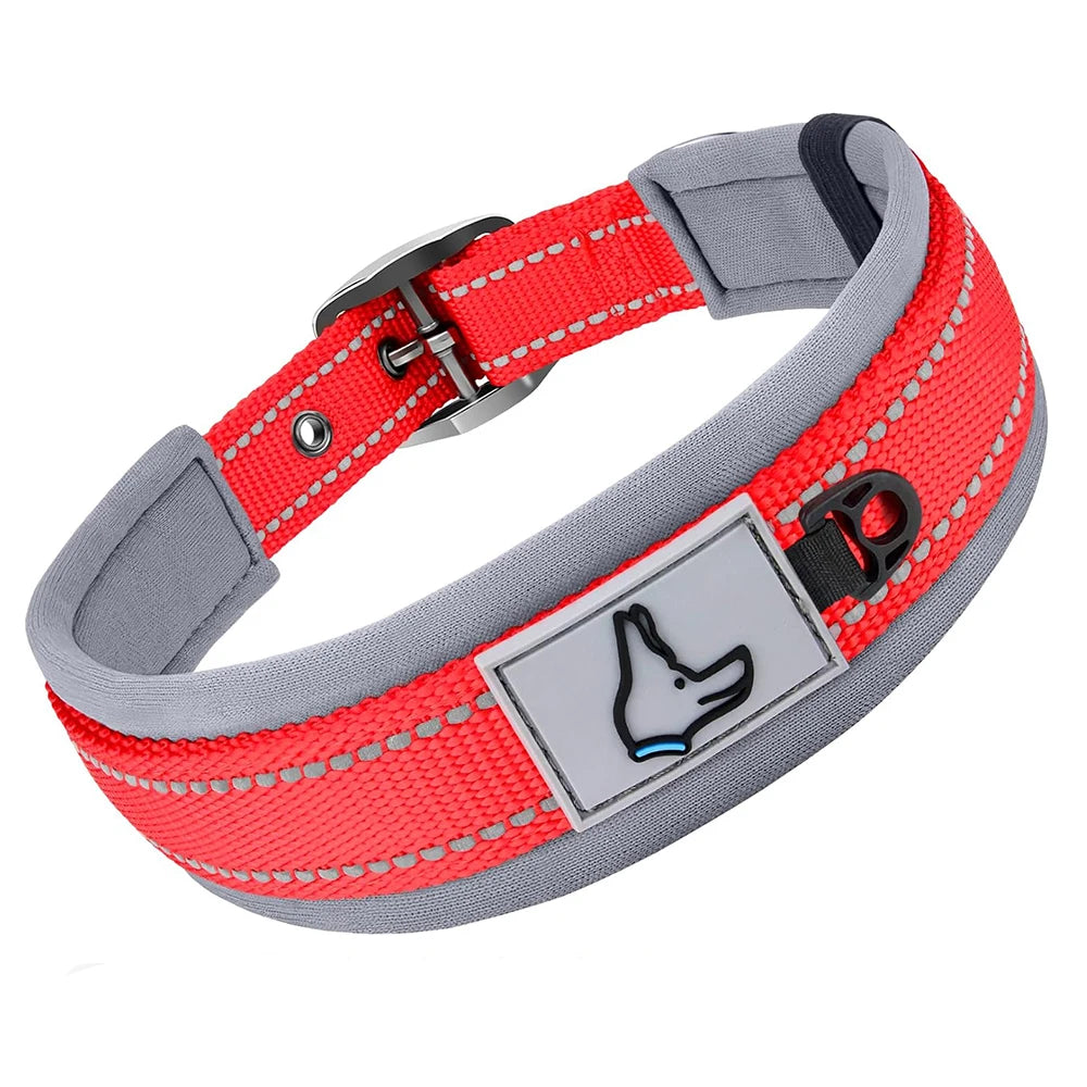 GlowStride Reflective Collar