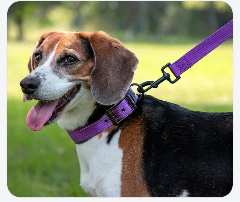GlowStride Reflective Collar