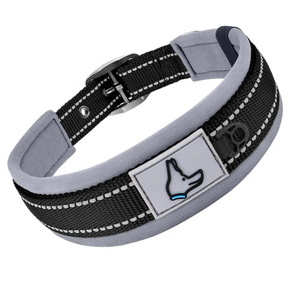 GlowStride Reflective Collar