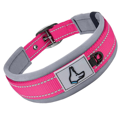 GlowStride Reflective Collar